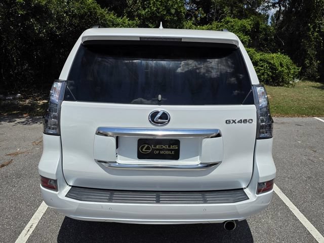 Used 2021 Lexus GX 460 Premium w/ Premium Package AWD/4WD image 3