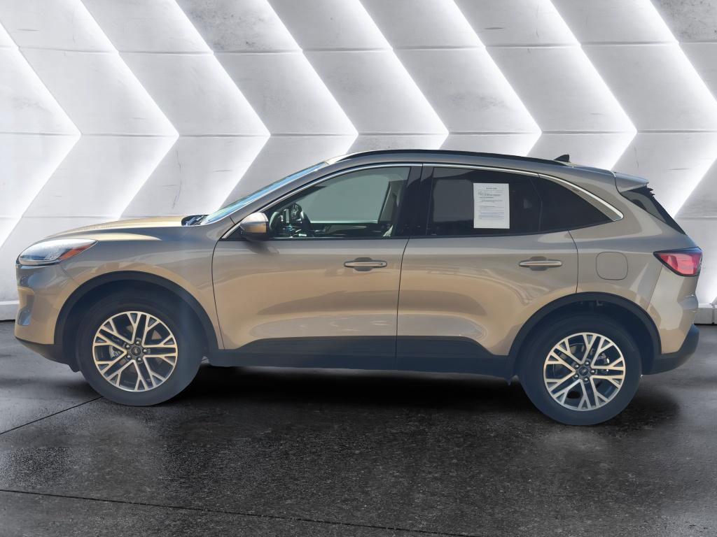 Used 2021 Ford Escape SEL image 3