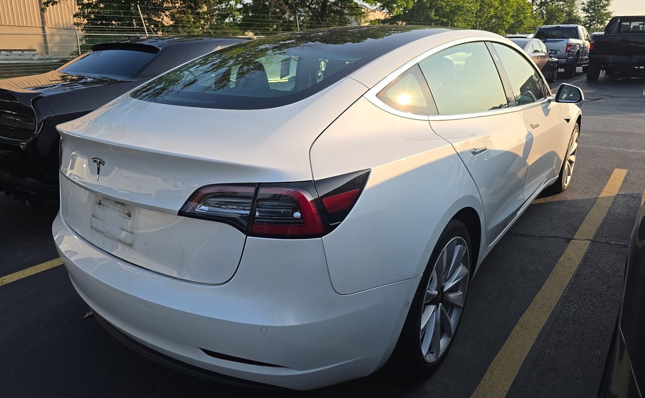 Used 2020 Tesla Model 3 Standard Range Plus RWD image 5