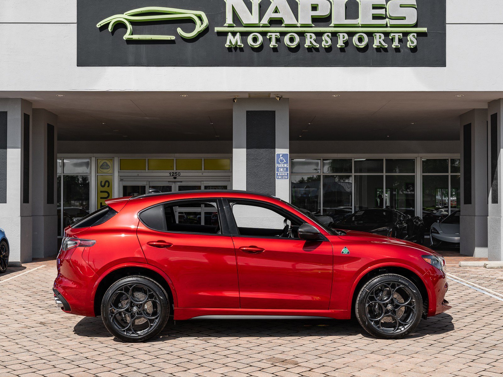 New 2024 Alfa Romeo Stelvio Quadrifoglio image 16