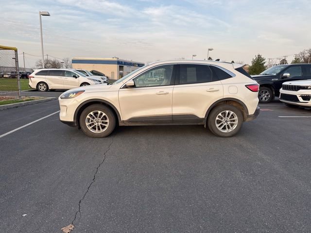 Used 2020 Ford Escape SE image 2