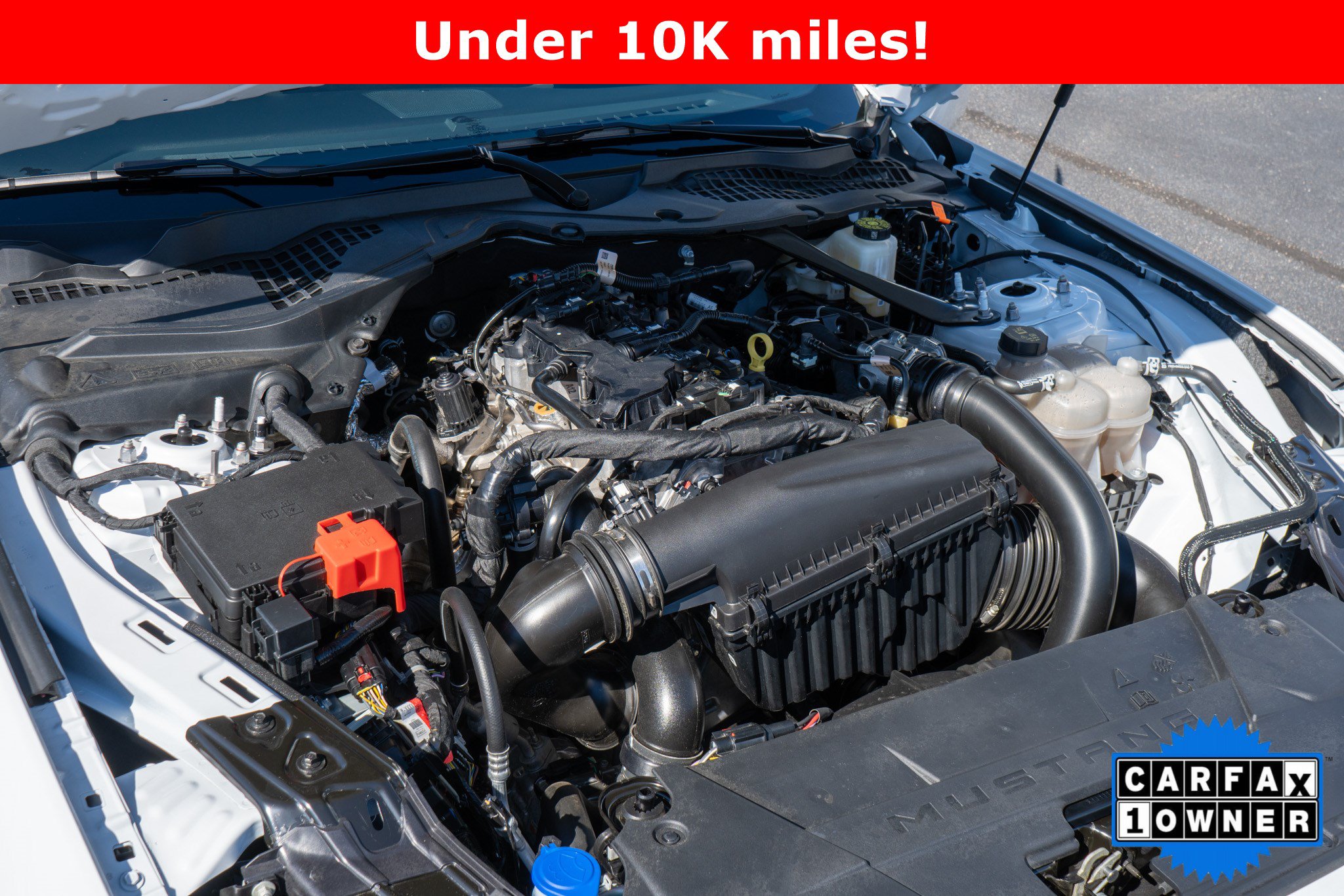 Used 2024 Ford Mustang Premium RWD image 32