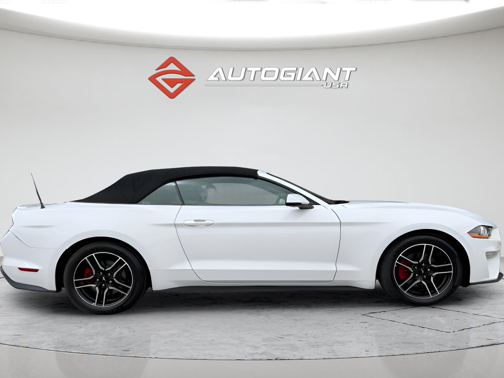 Used 2019 Ford Mustang Premium RWD image 12