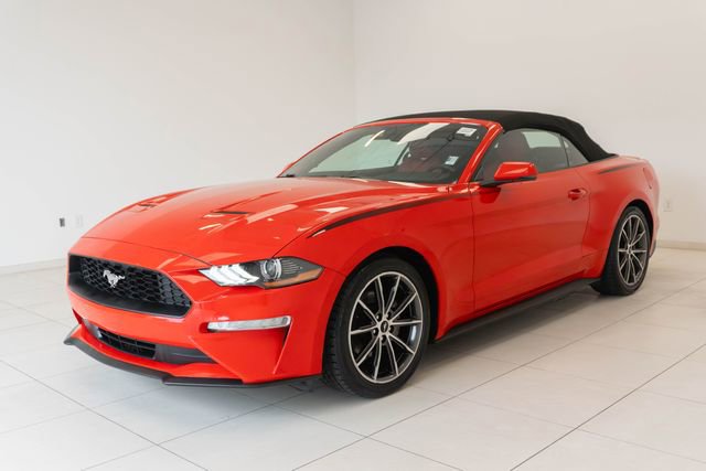 Used 2019 Ford Mustang Premium w/ Equipment Group 201A RWD image 7