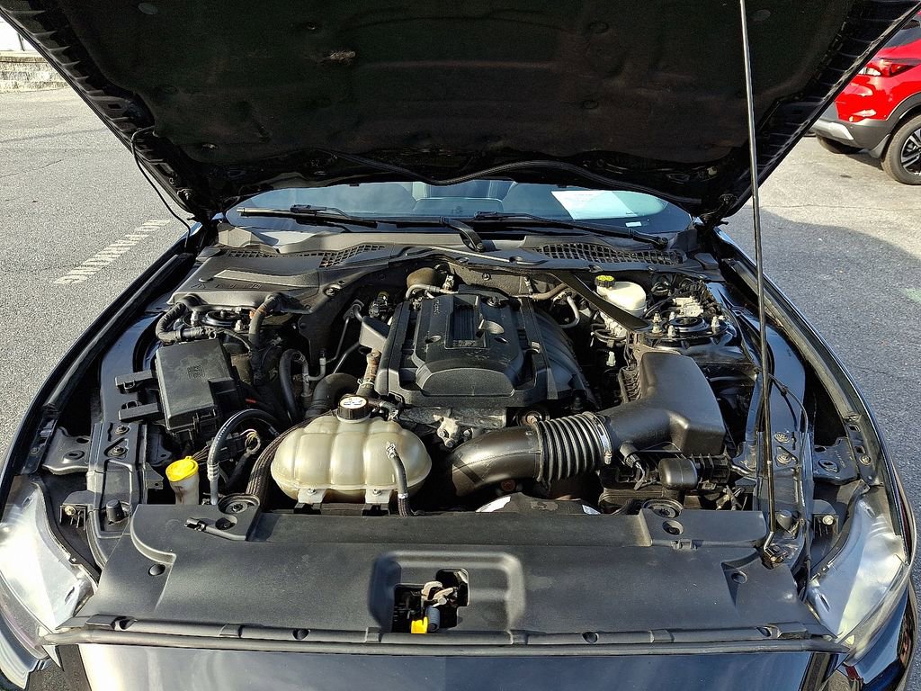 Used 2015 Ford Mustang Premium w/ Equipment Group 201A image 28