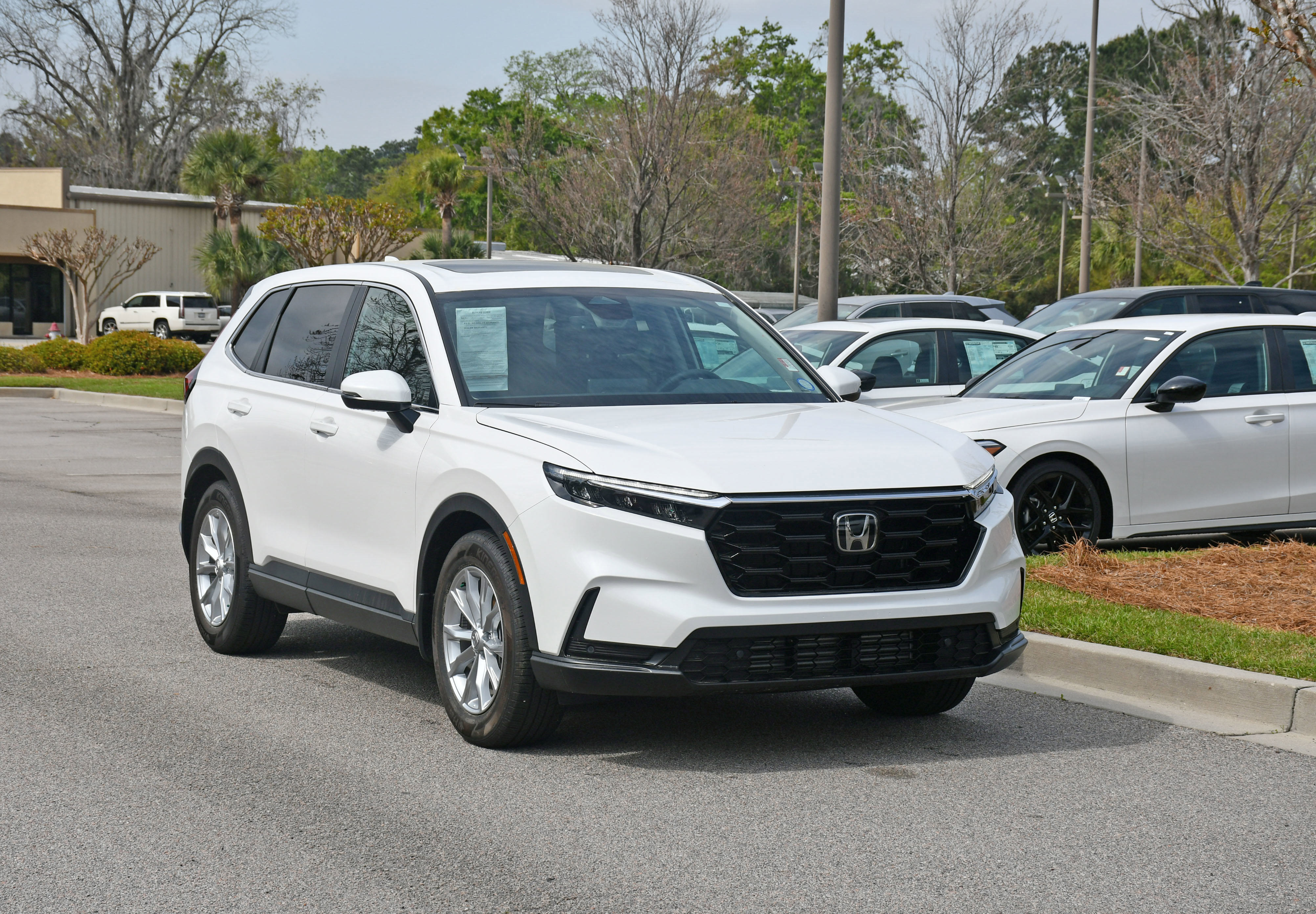 Certified 2024 Honda CR-V EX-L image 6