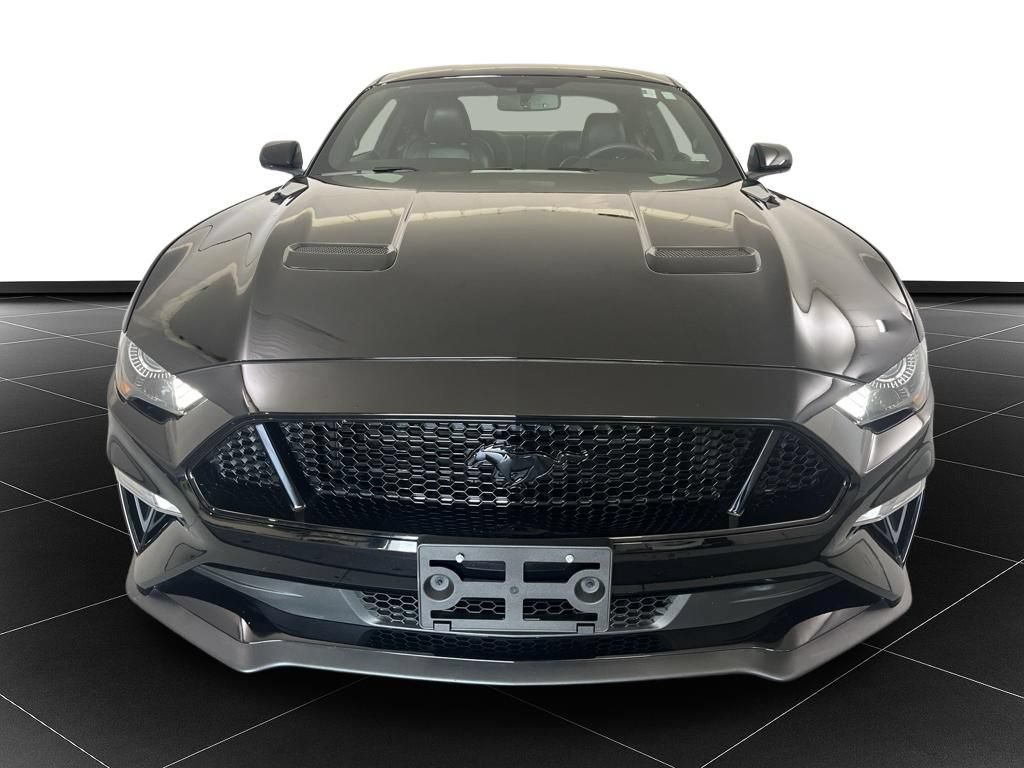 Used 2019 Ford Mustang GT w/ Equipment Group 301A RWD image 8