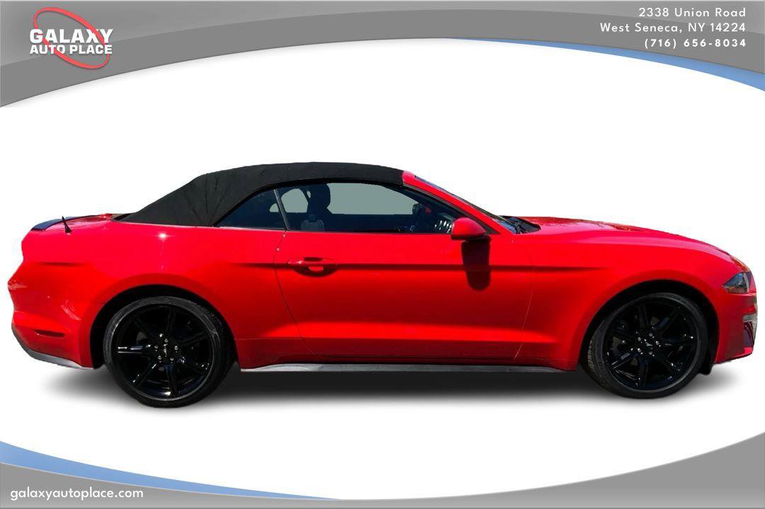 Used 2019 Ford Mustang Convertible w/ Equipment Group 101A RWD image 4