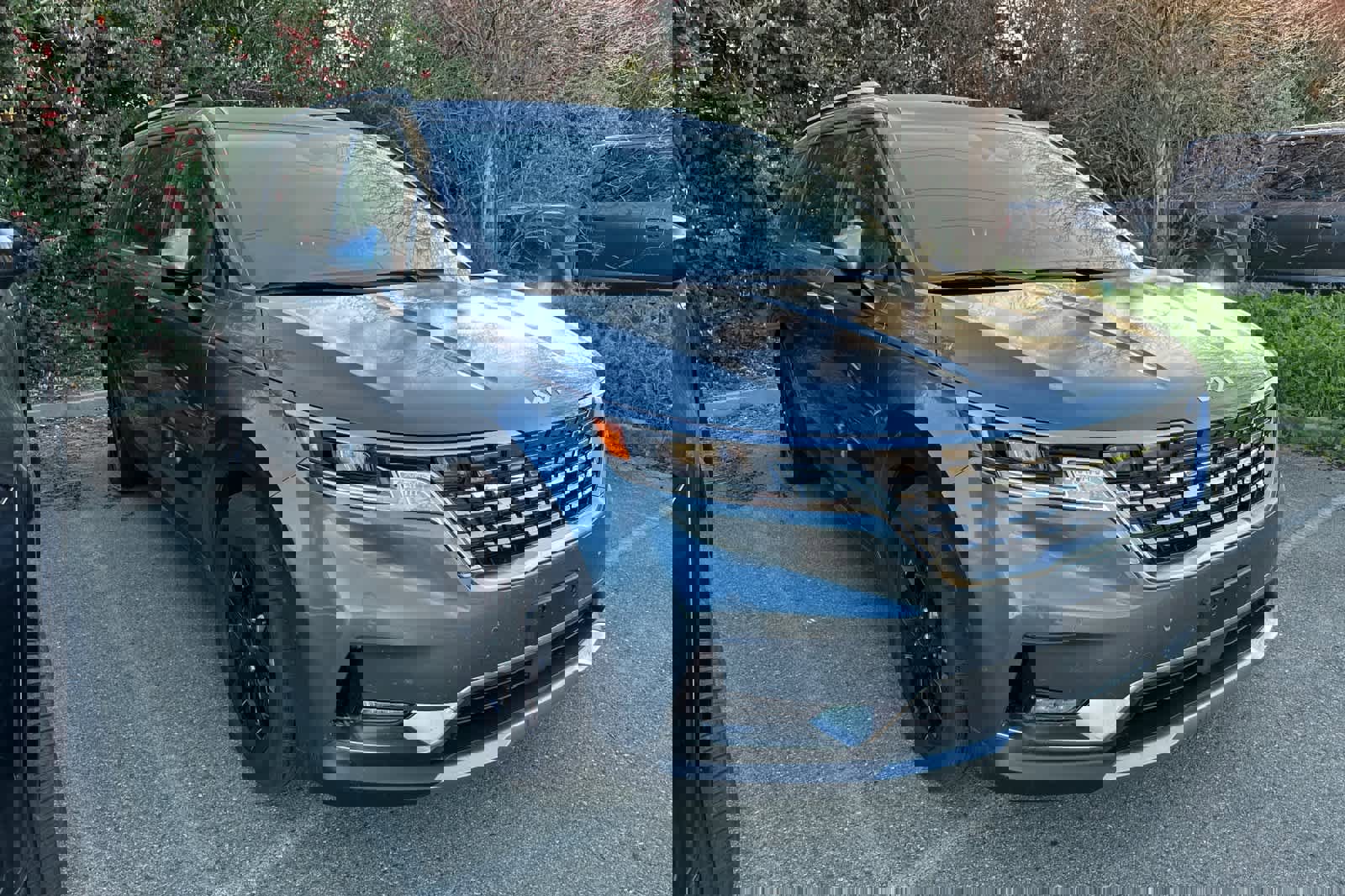 Used 2024 Kia Carnival SX image 3