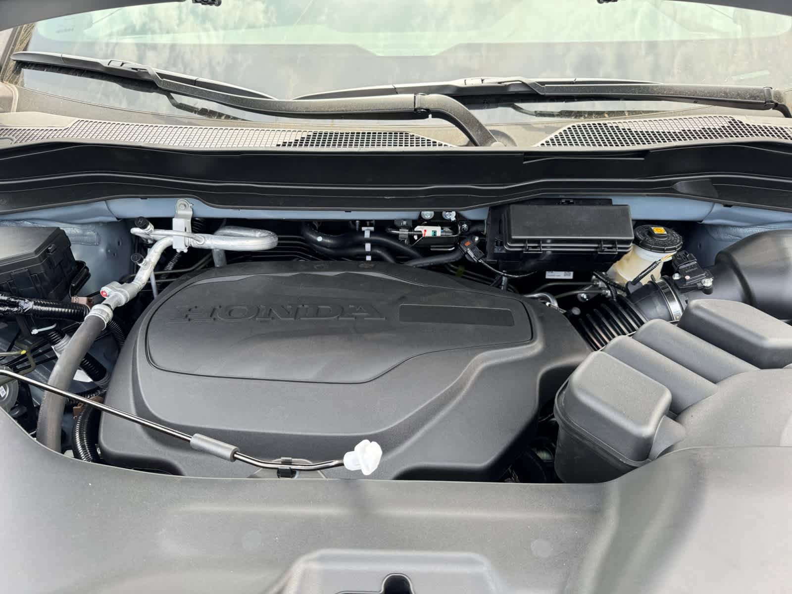 New 2026 Honda Ridgeline TrailSport image 5