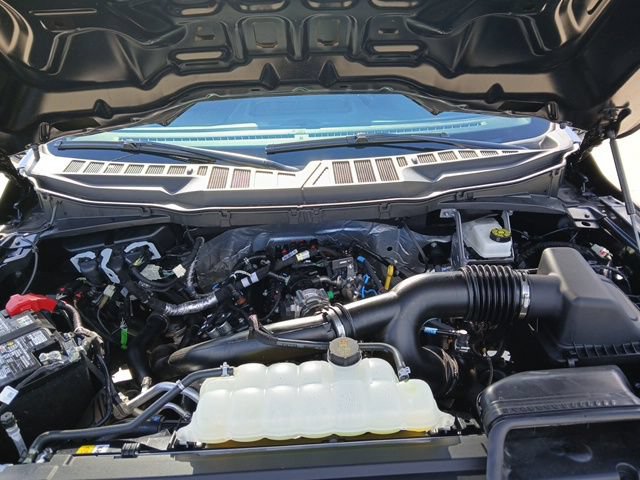 Used 2025 Ford F150 STX w/ STX Black Appearance Package AWD/4WD image 9