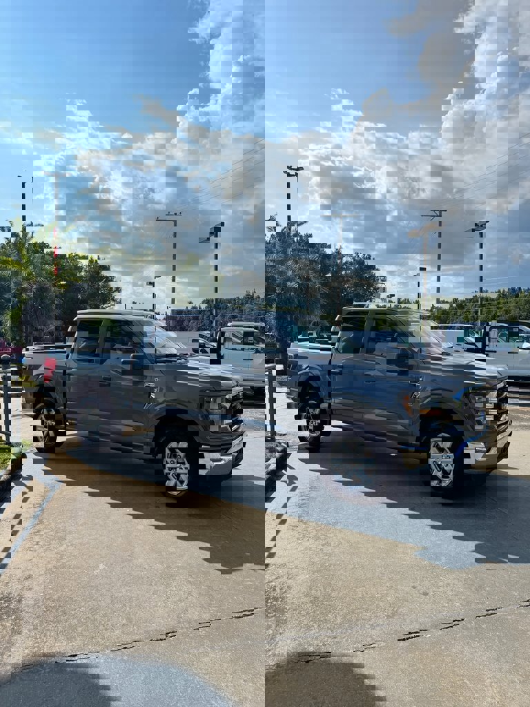 Used 2023 Ford F150 XLT image 4