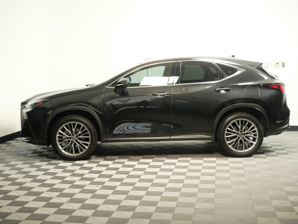 Certified 2025 Lexus NX 350h AWD w/ Cold Area Package image 5