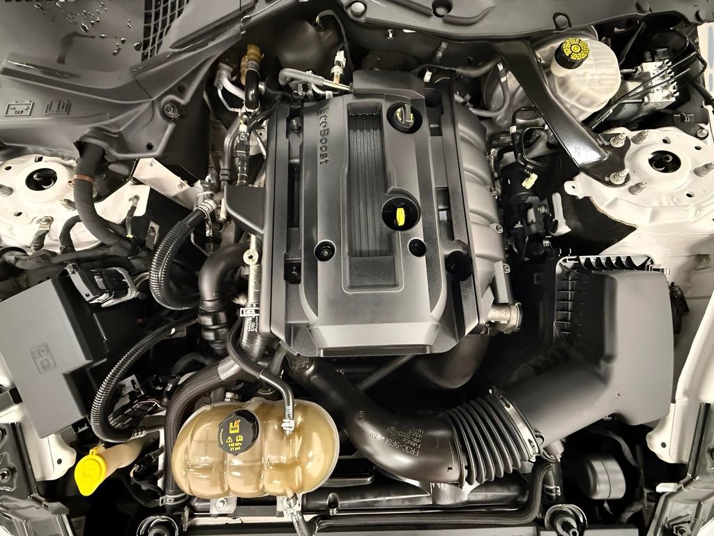 Used 2019 Ford Mustang Premium image 23