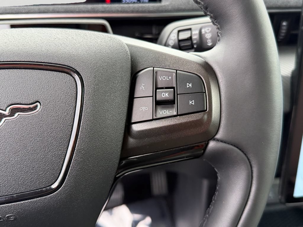 Used 2022 Ford Mustang Mach-E Premium RWD image 19