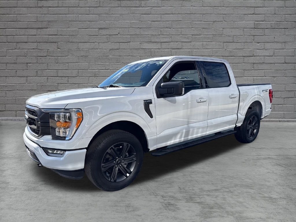 Used 2023 Ford F150 XLT w/ Equipment Group 302A High AWD/4WD image 3