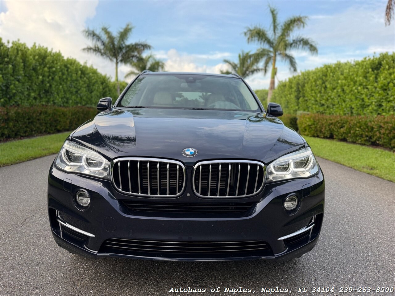 Used 2016 BMW X5 xDrive40e AWD/4WD image 10