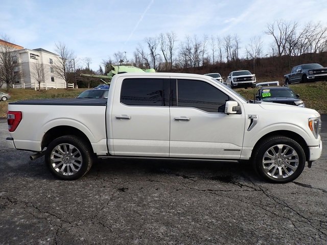 Used 2023 Ford F150 Limited image 6
