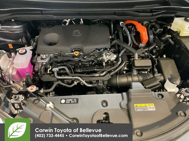 New 2025 Toyota Sienna Platinum image 14