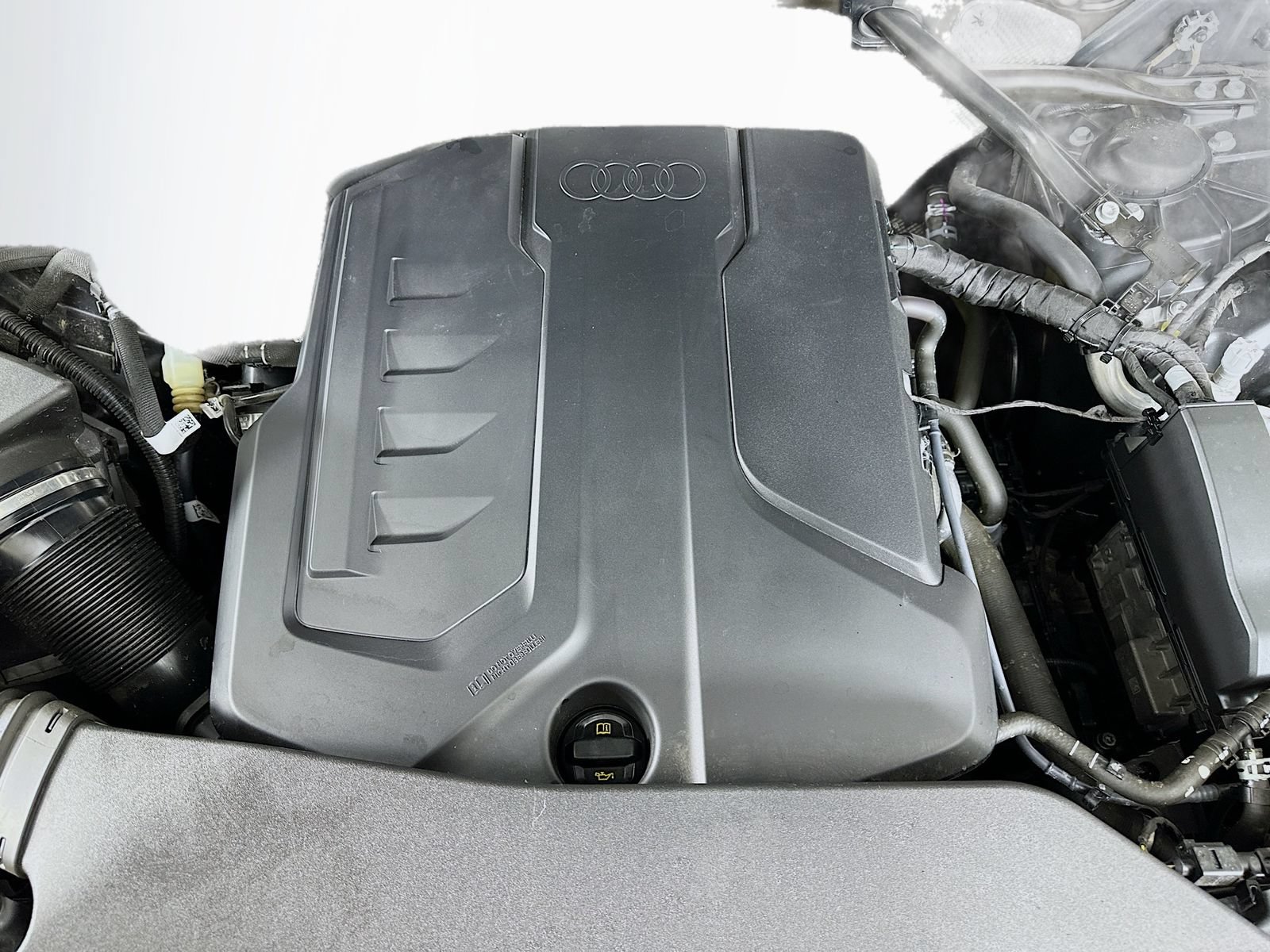 Used 2025 Audi Q5 Premium Plus w/ Premium Plus AWD/4WD image 13