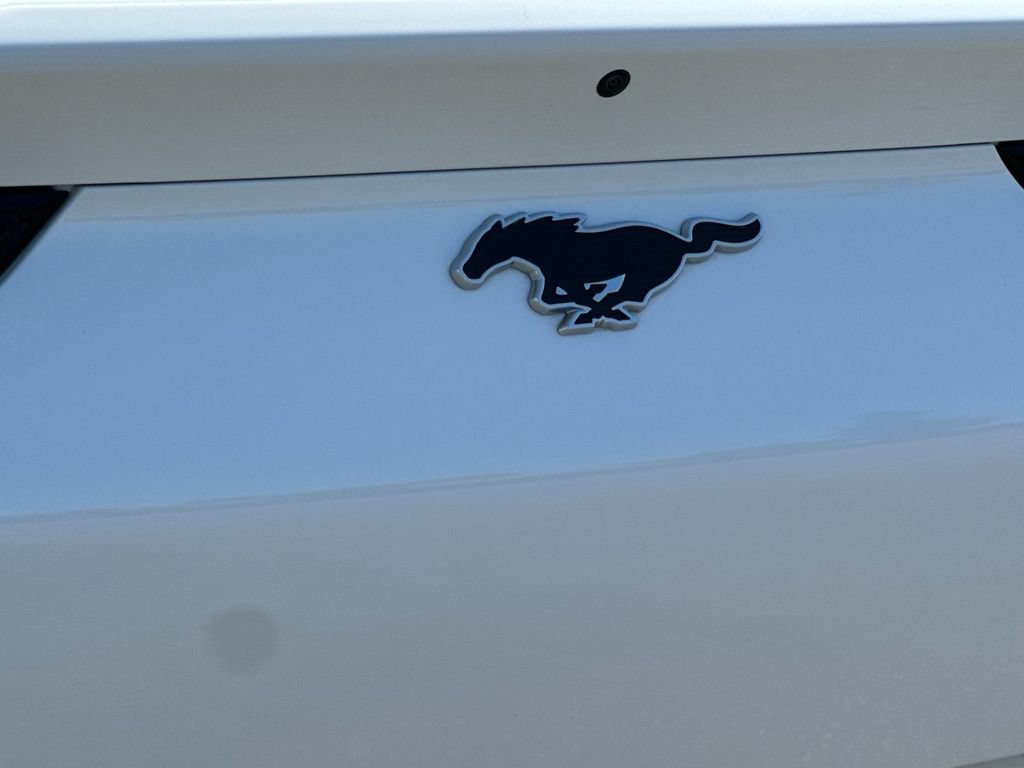 Certified 2023 Ford Mustang Mach-E Premium RWD image 25