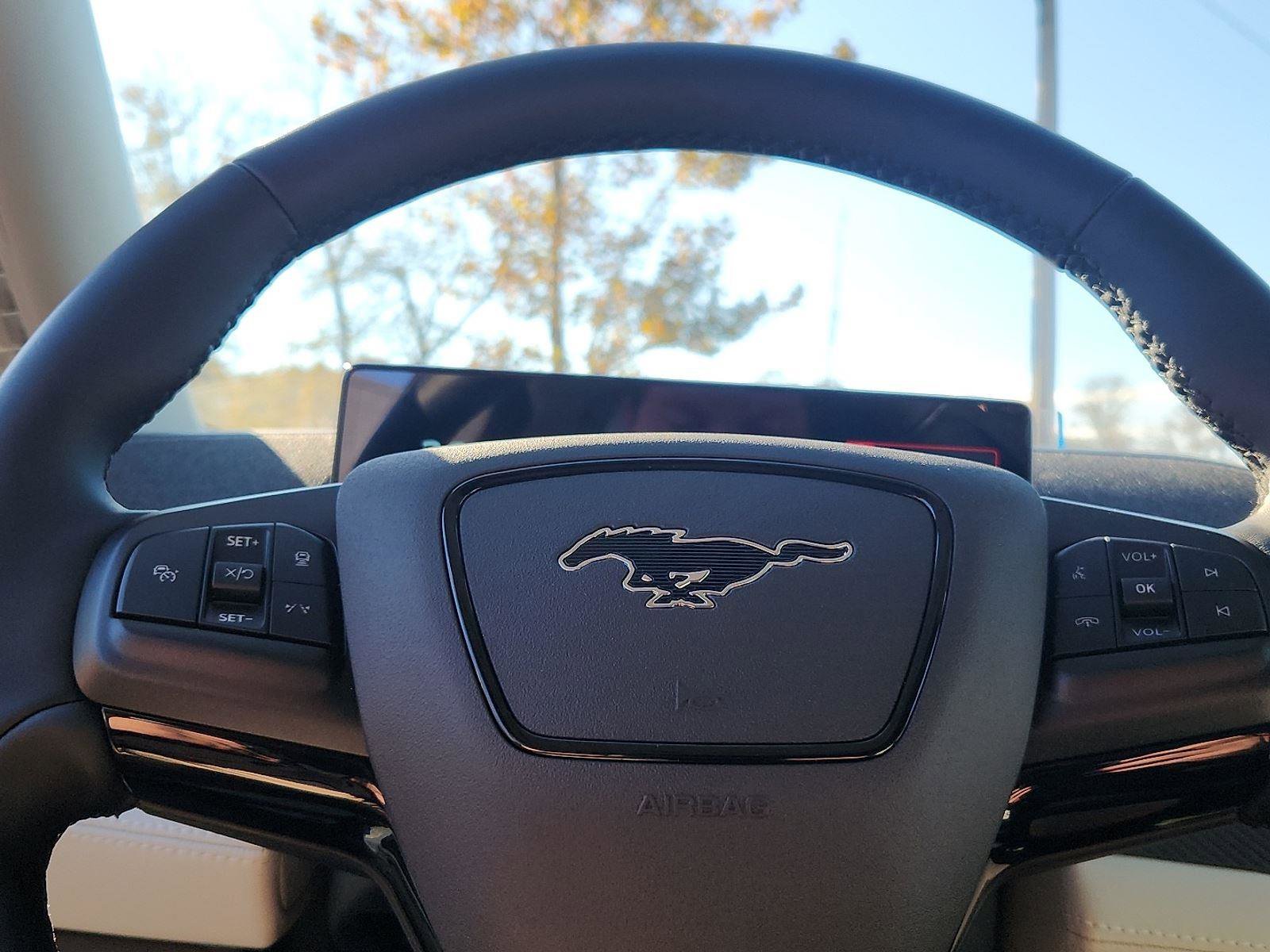 New 2025 Ford Mustang Mach-E Premium w/ Interior Protection Package image 9