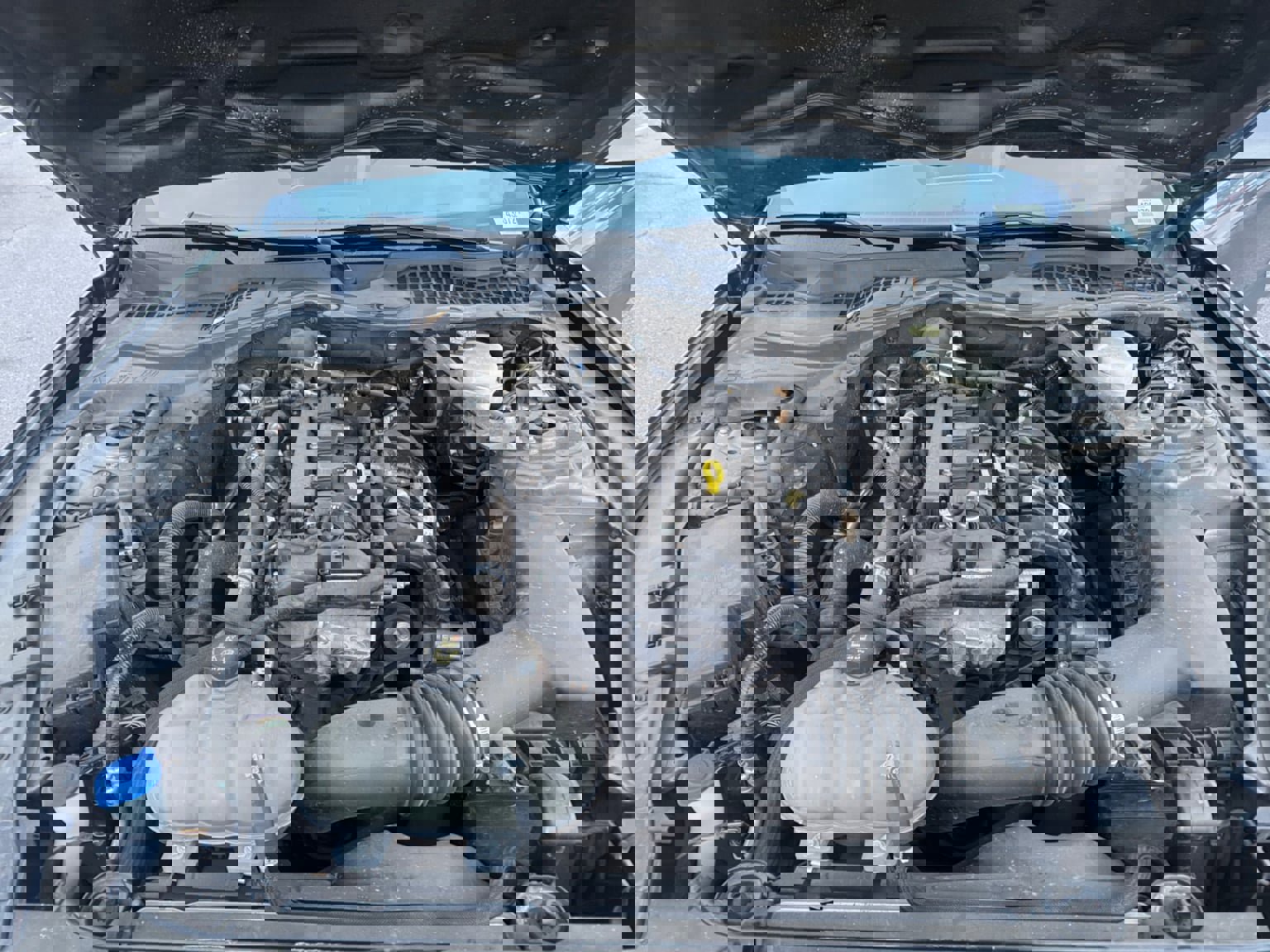 Used 2023 Ford Mustang Premium image 19