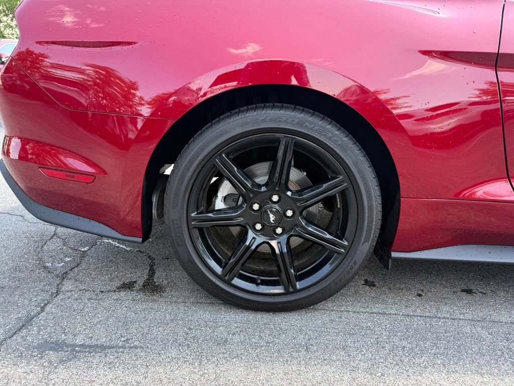 Used 2019 Ford Mustang Coupe w/ Equipment Group 101A RWD image 25