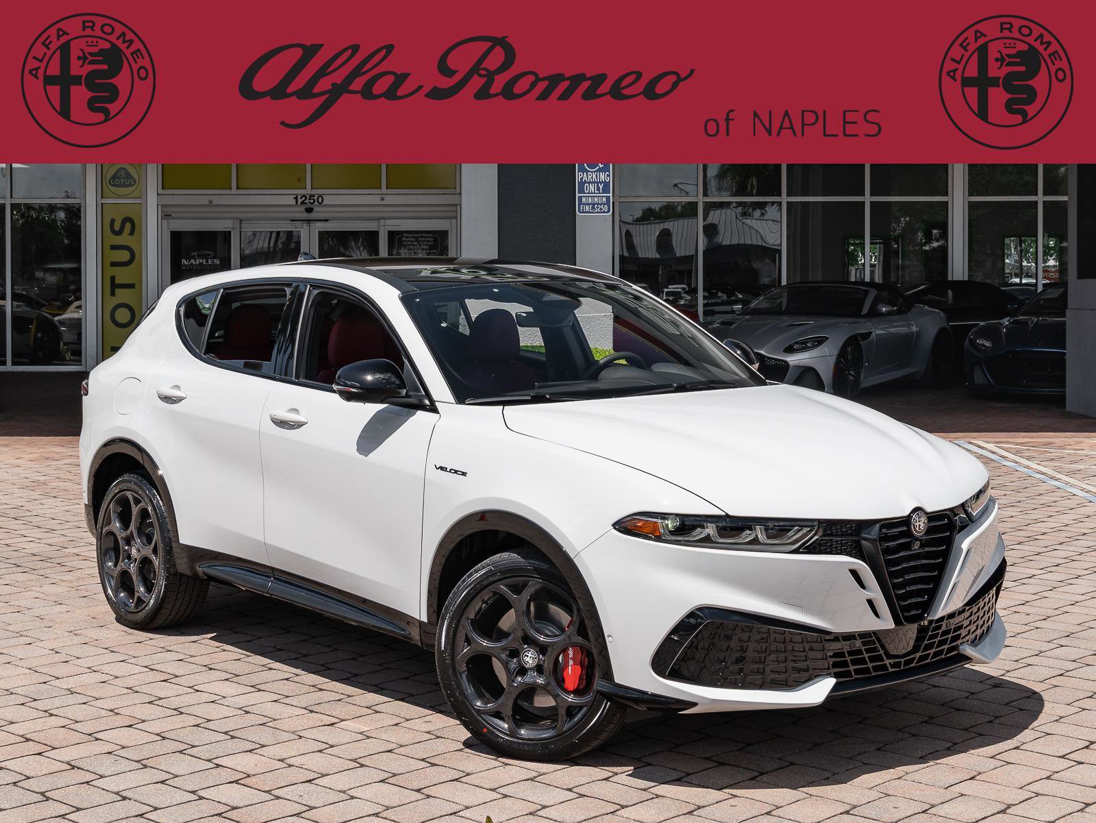 New 2026 Alfa Romeo Tonale Veloce w/ Quick Order Package 23H Volce