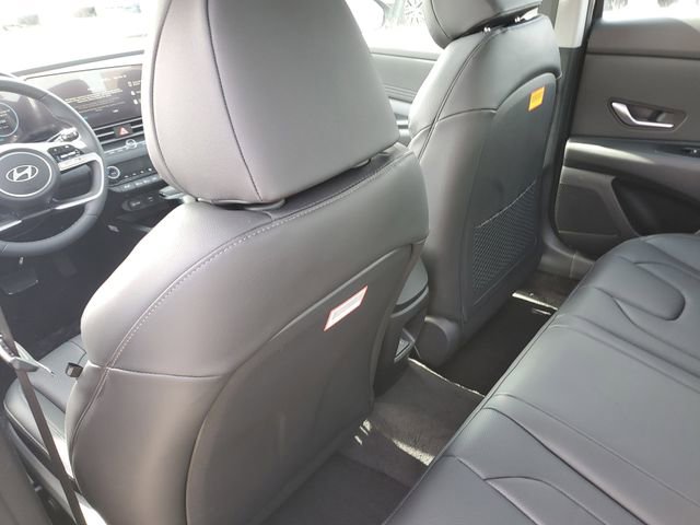 New 2026 Hyundai Elantra Limited image 13