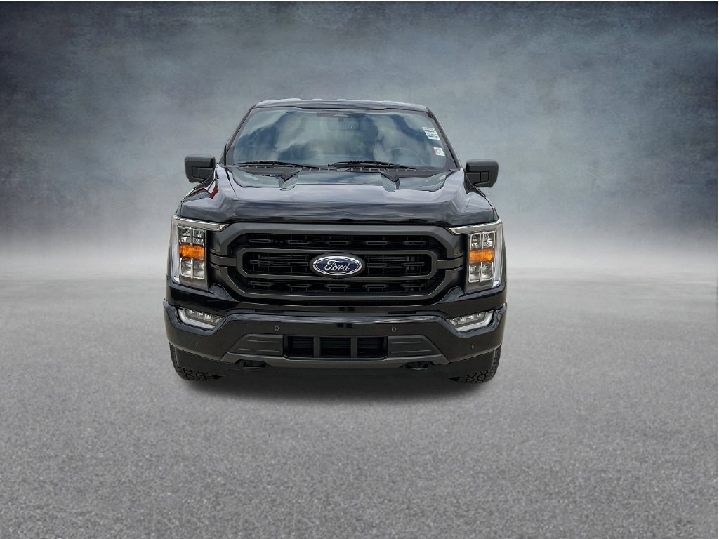 Used 2023 Ford F150 XLT w/ Equipment Group 302A High AWD/4WD image 2
