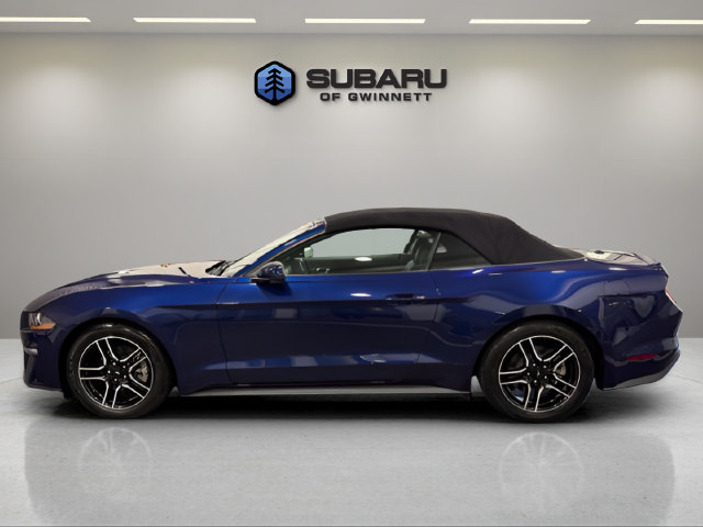 Used 2019 Ford Mustang Premium RWD image 2