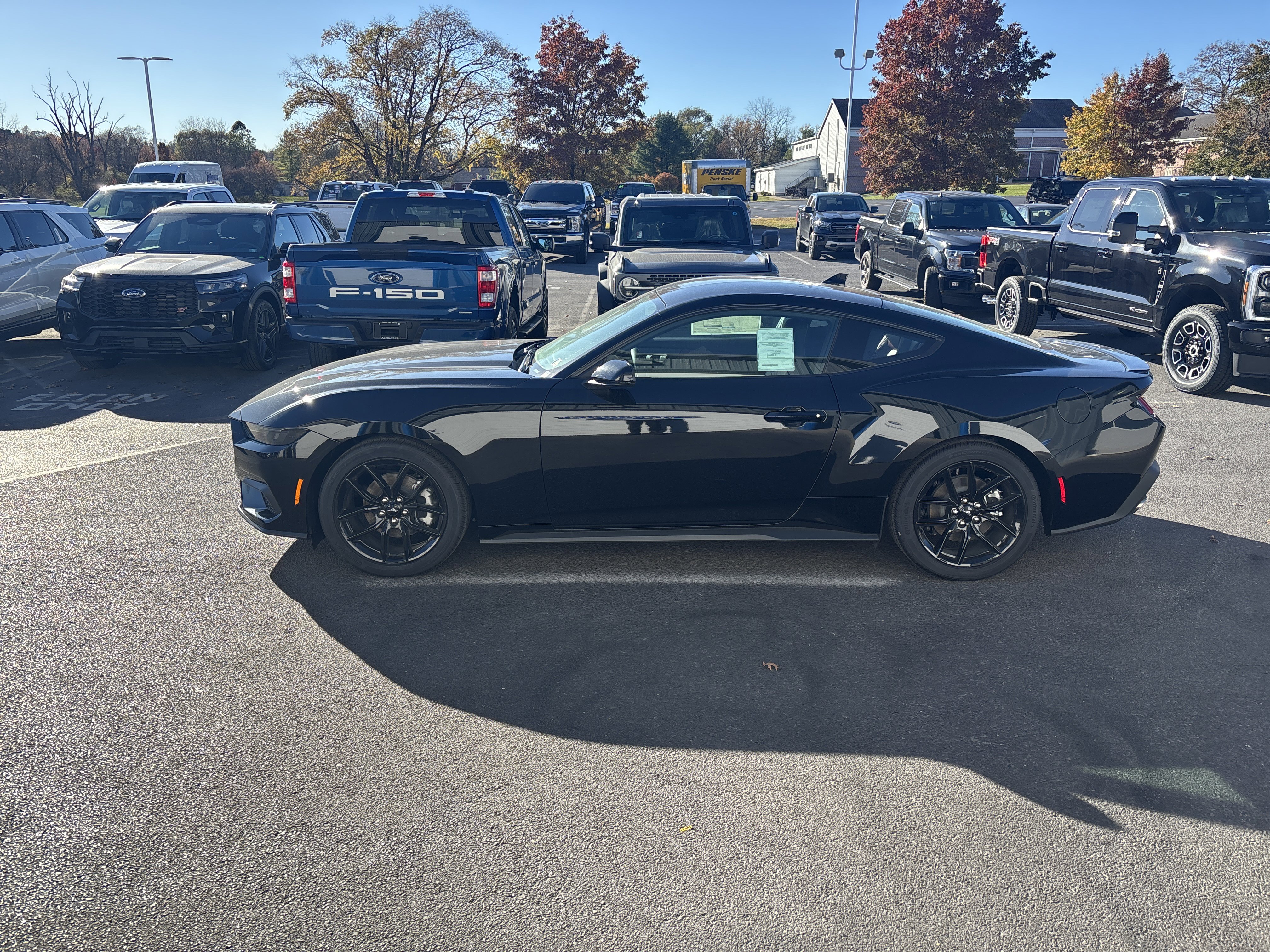 New 2025 Ford Mustang Premium image 7