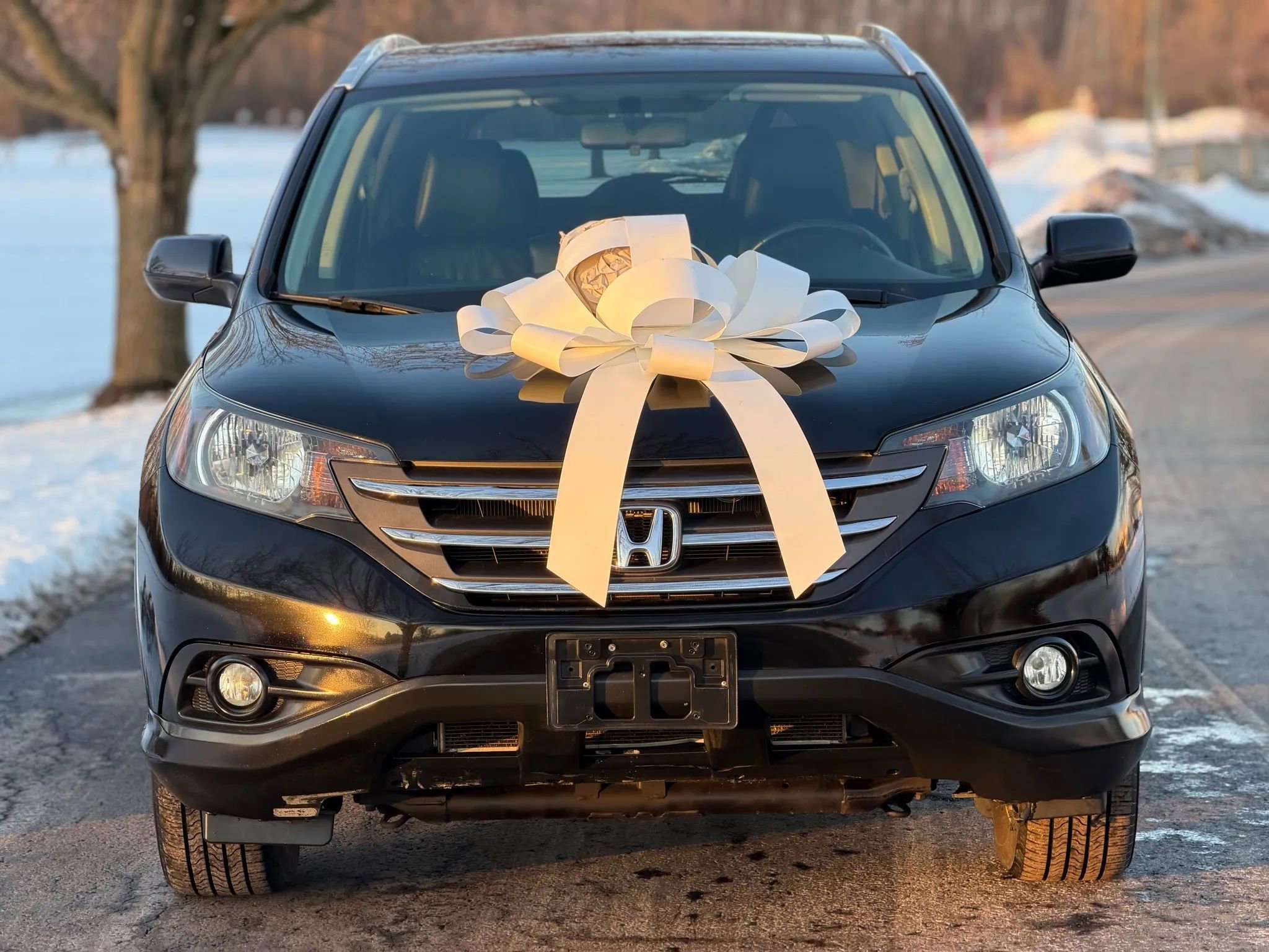 Used 2014 Honda CR-V EX-L image 2