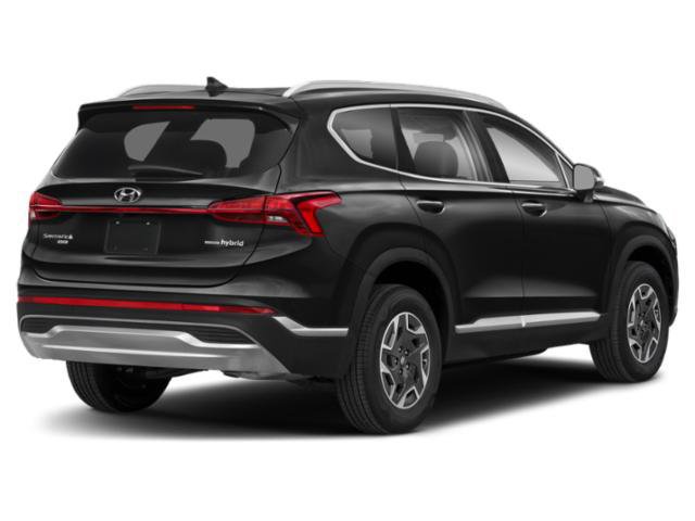 Used 2023 Hyundai Santa Fe Blue AWD/4WD image 5
