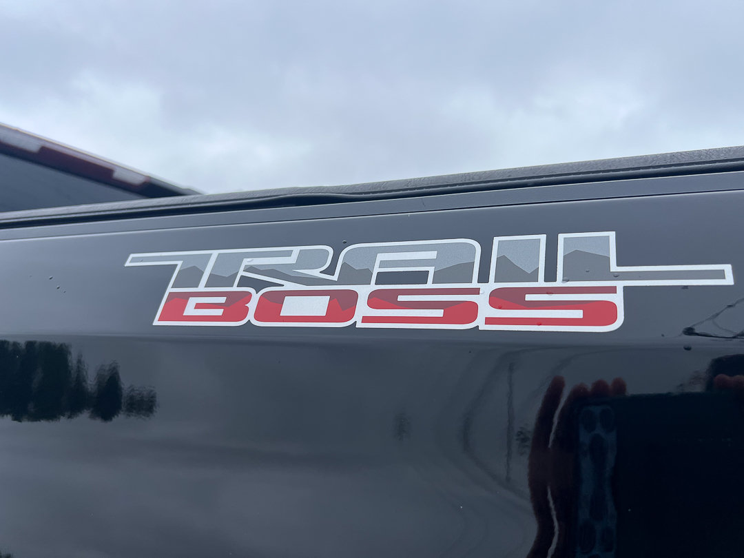 Used 2021 Chevrolet Silverado 1500 Custom Trail Boss AWD/4WD image 3