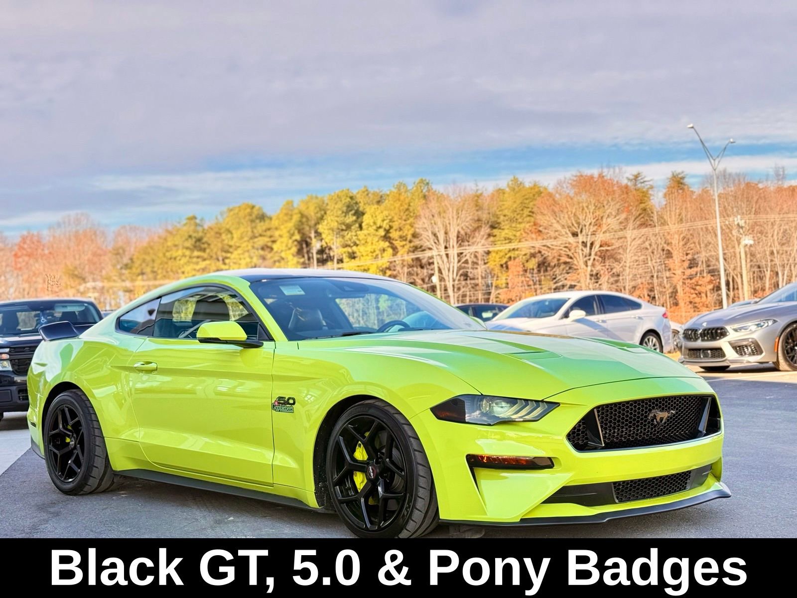 Used 2020 Ford Mustang GT Premium w/ Equipment Group 401A image 12