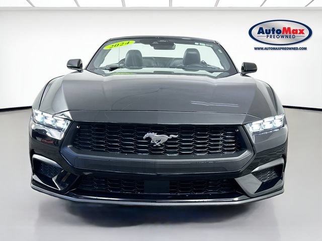 Used 2024 Ford Mustang Premium RWD image 6