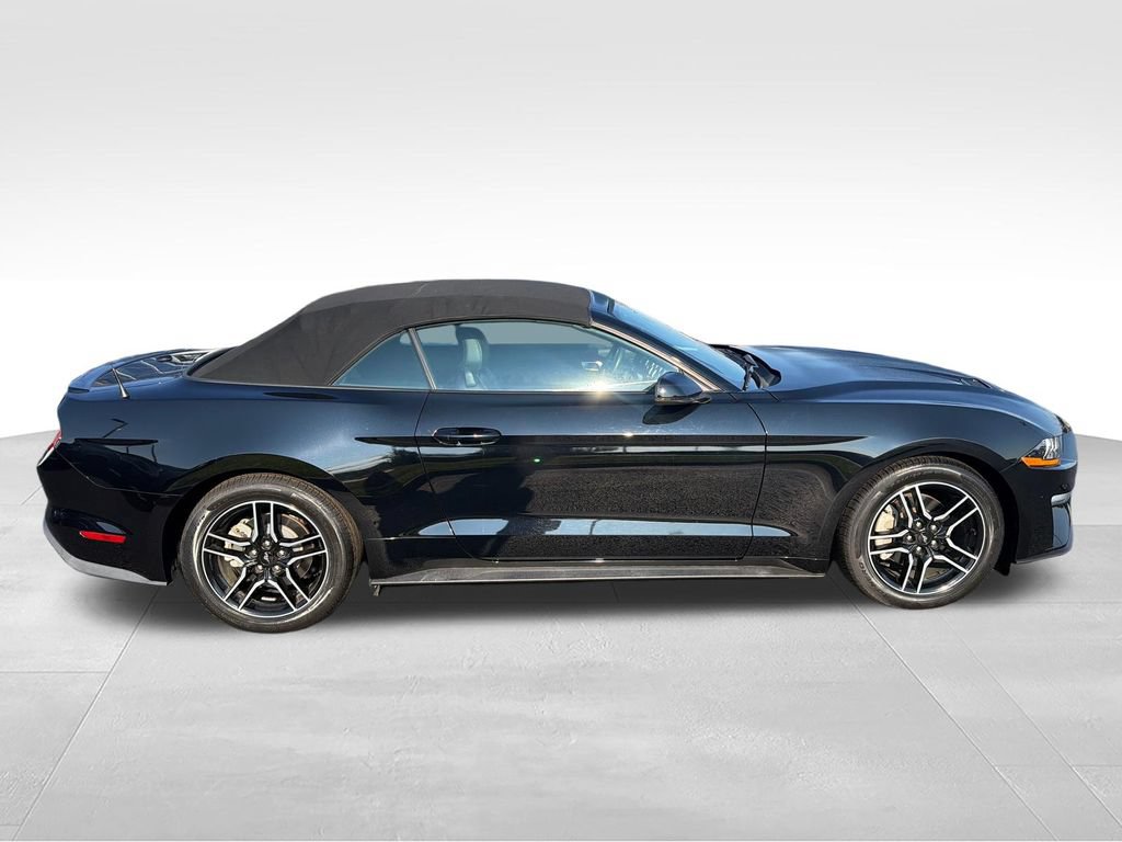 Used 2020 Ford Mustang Premium RWD image 6