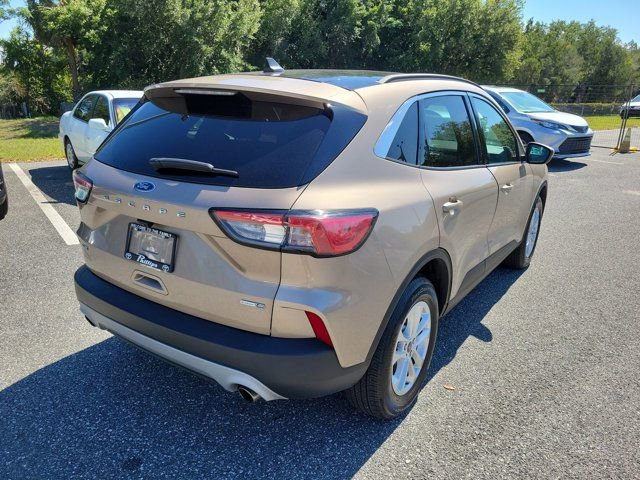 Used 2020 Ford Escape SE AWD/4WD image 10