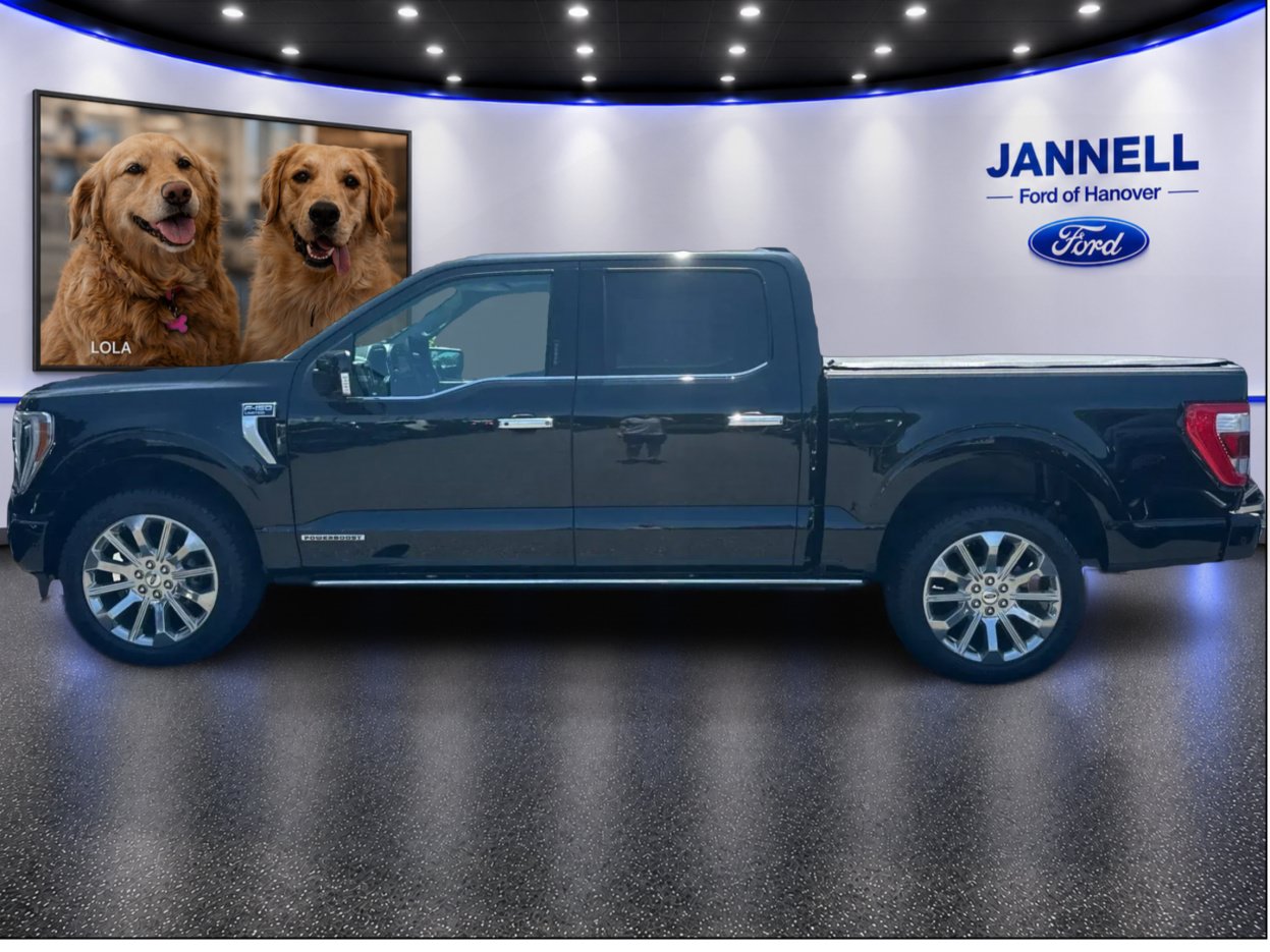 Used 2023 Ford F150 Limited AWD/4WD image 8