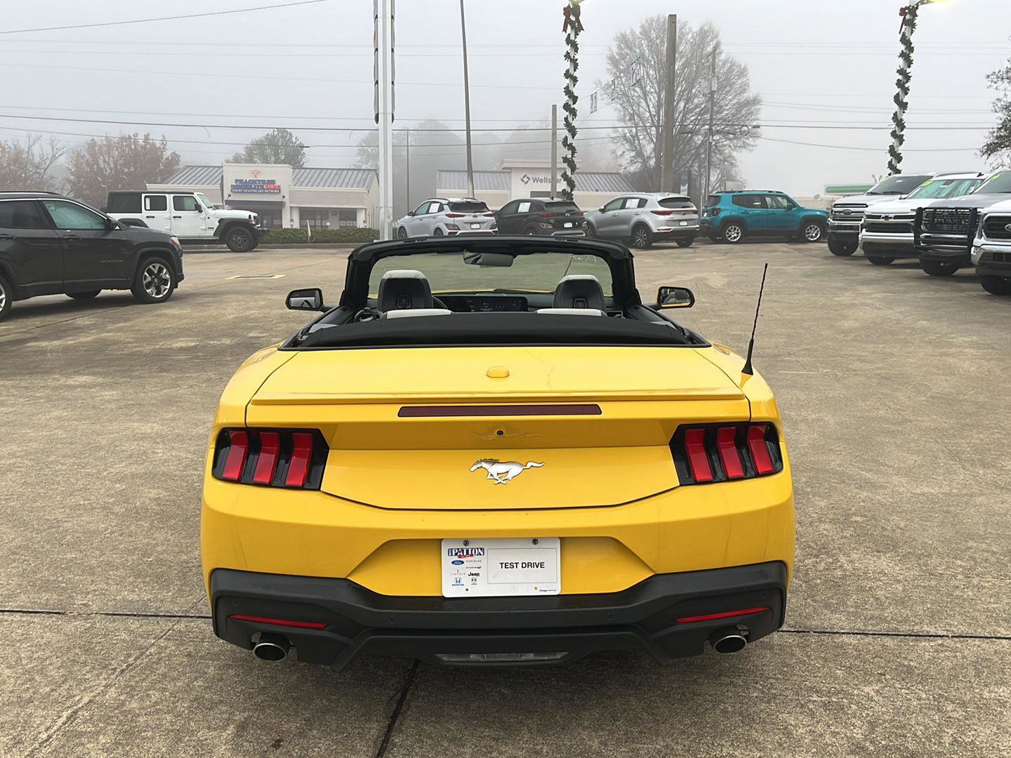 Used 2024 Ford Mustang Premium image 6