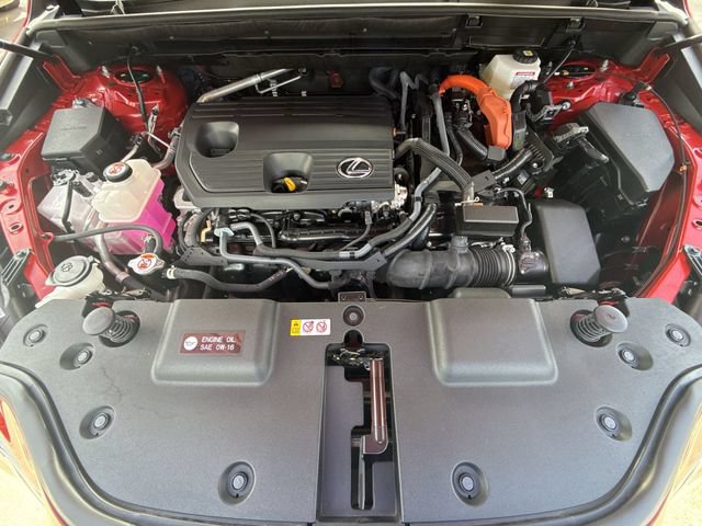 Certified 2025 Lexus NX 350h AWD w/ Cold Area Package image 27
