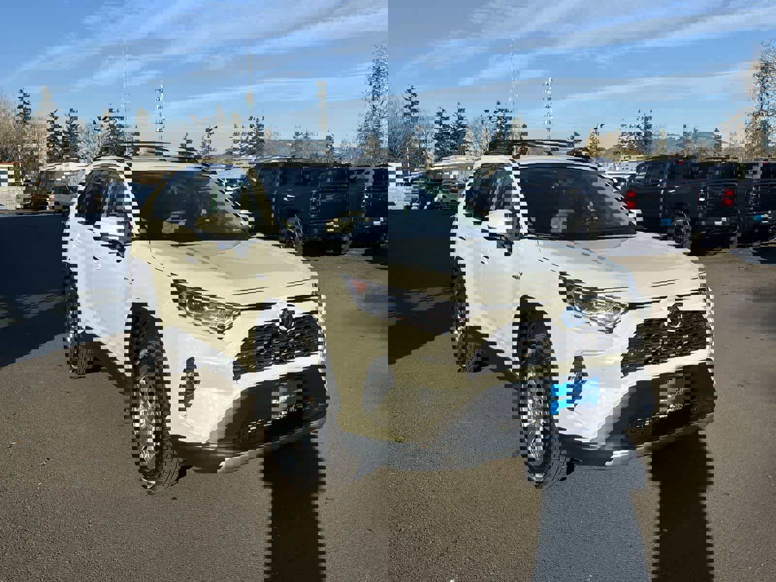 Used 2020 Toyota RAV4 Limited image 7