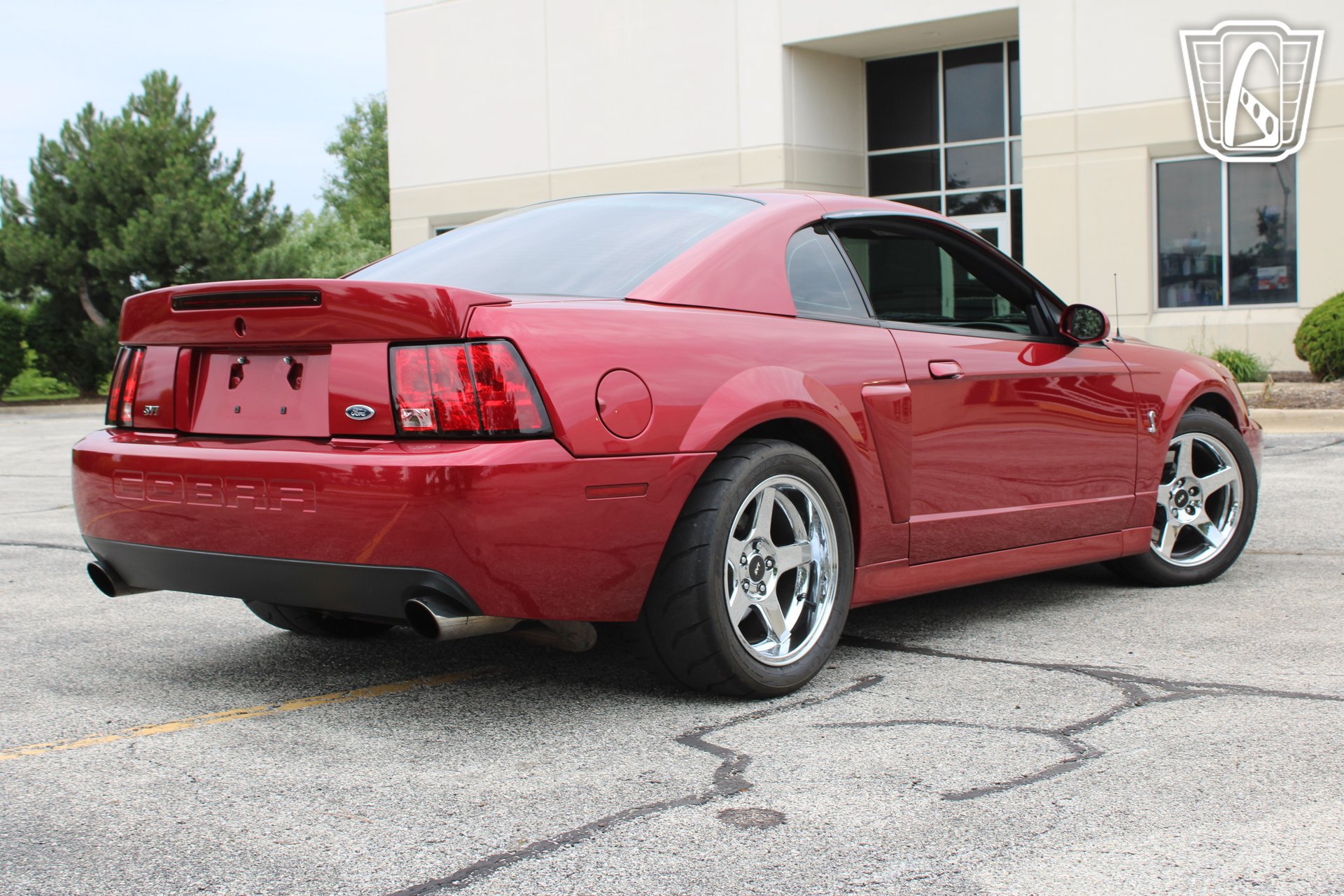 Used 2003 Ford Mustang Cobra RWD image 4