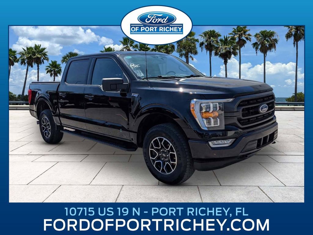 Used 2023 Ford F150 XLT w/ Equipment Group 302A High