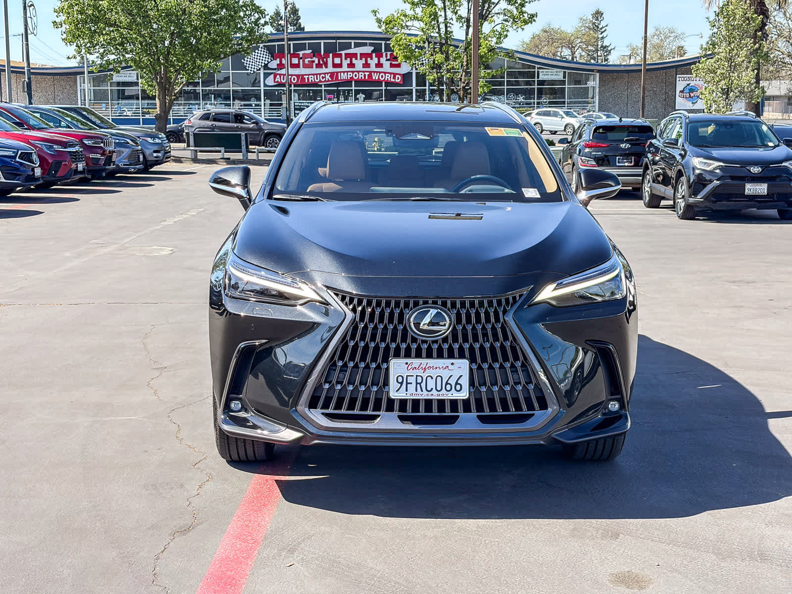Certified 2023 Lexus NX 450h+ Luxury image 6