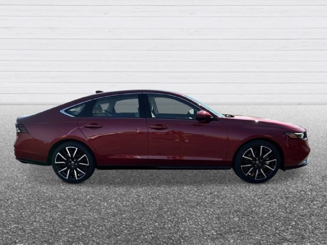 New 2026 Honda Accord Touring image 6