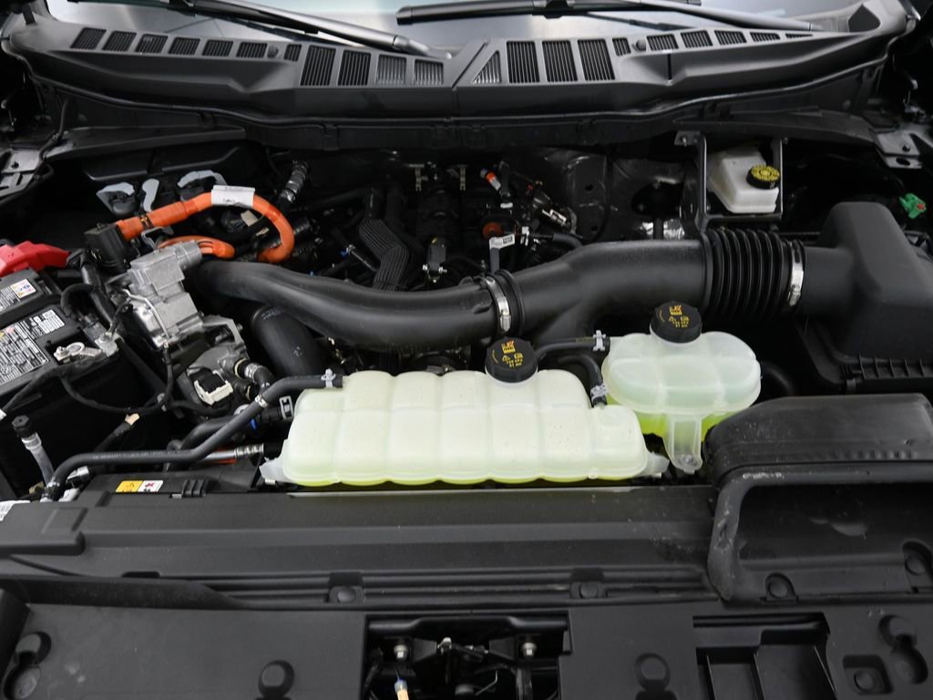 New 2025 Ford F150 XLT w/ Equipment Group 302A MID image 31