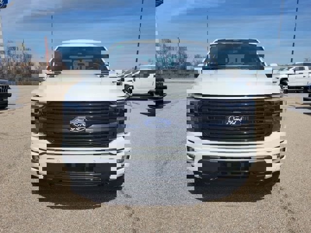 New 2026 Ford F150 Platinum image 24